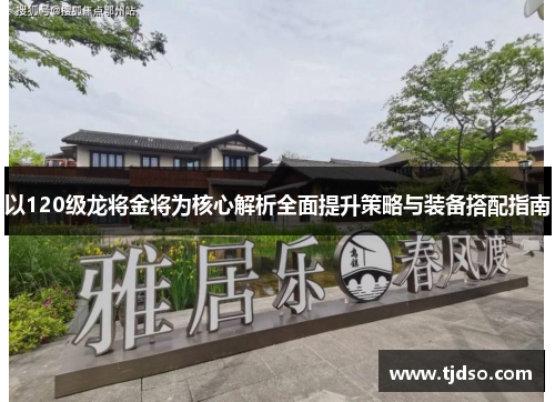 以120级龙将金将为核心解析全面提升策略与装备搭配指南