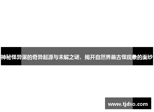 神秘怪异蛋的奇异起源与未解之谜，揭开自然界最古怪现象的面纱